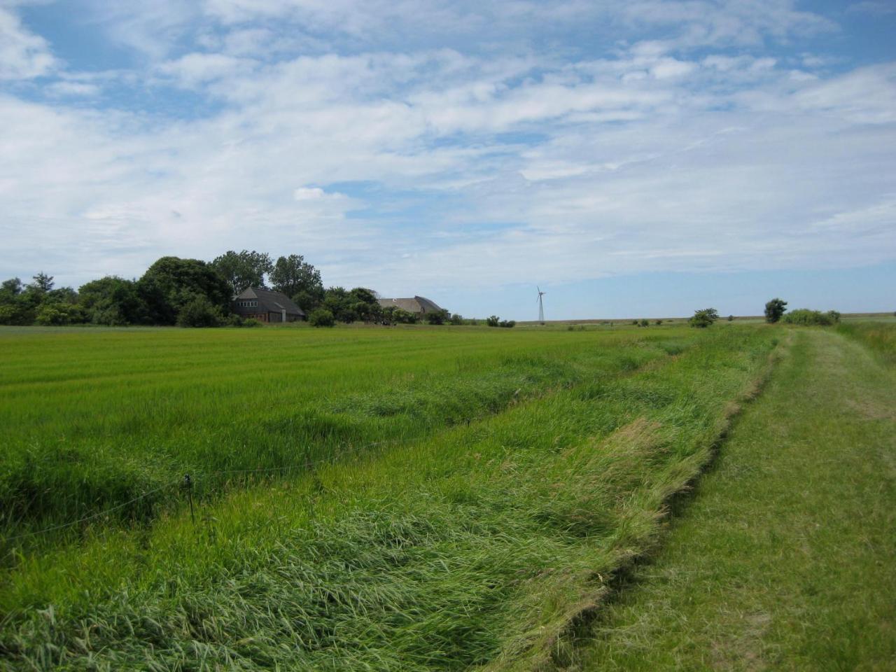 I Hjertet Af Ballum Exterior foto